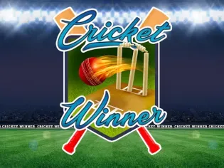 Cricket Winner