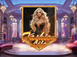 Fashion Life game cover