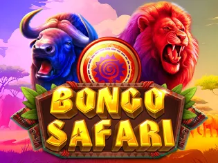 Bongo Safari game cover